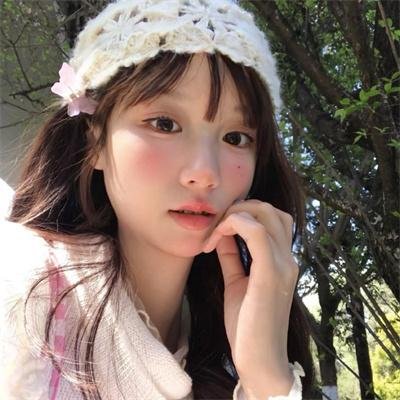 战略特勤组
