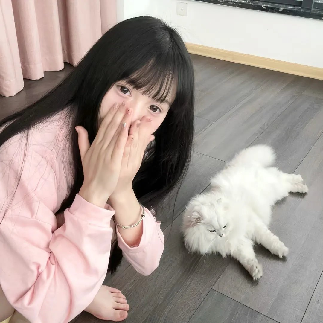 忠犬流浪记